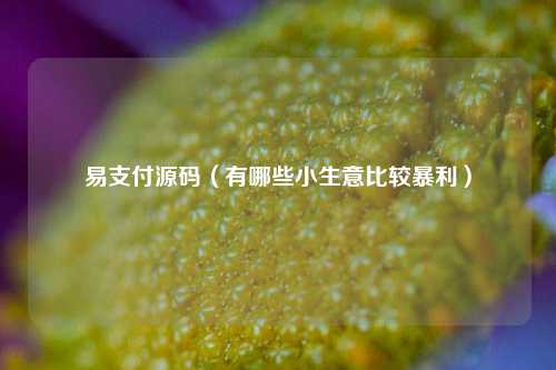 易支付源码（有哪些小生意比较暴利）