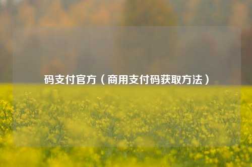 码支付官方（商用支付码获取方法）