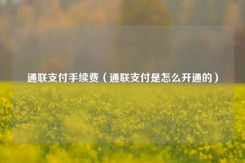 通联支付手续费（通联支付是怎么开通的）