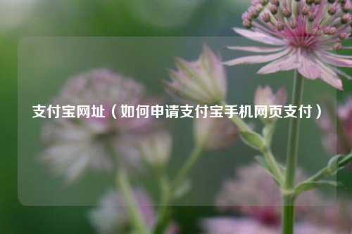 支付宝网址（如何申请支付宝手机网页支付）