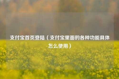 支付宝首页登陆（支付宝里面的各种功能具体怎么使用）