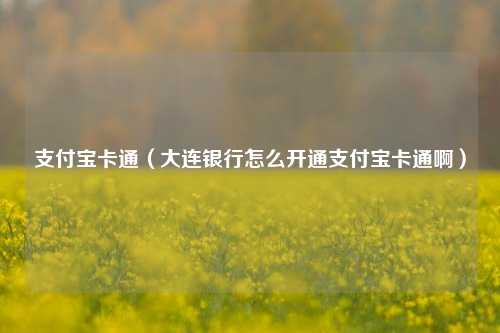 支付宝卡通（大连银行怎么开通支付宝卡通啊）