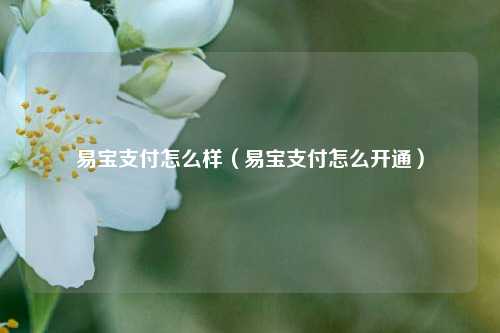 易宝支付怎么样（易宝支付怎么开通）