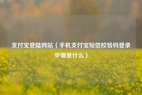 支付宝登陆网站（手机支付宝短信校验码登录步骤是什么）