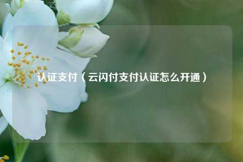 认证支付（云闪付支付认证怎么开通）