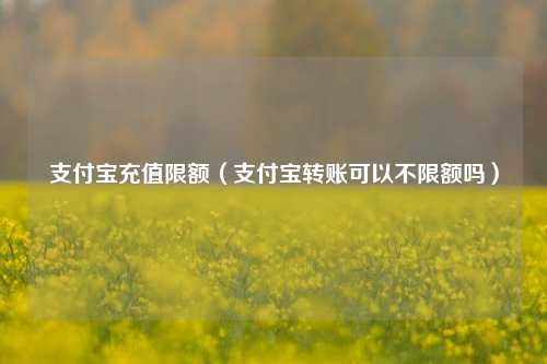 支付宝充值限额（支付宝转账可以不限额吗）