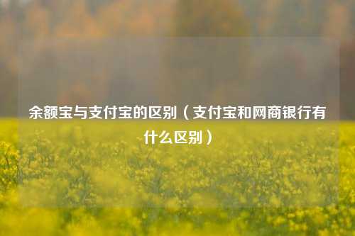 余额宝与支付宝的区别（支付宝和网商银行有什么区别）