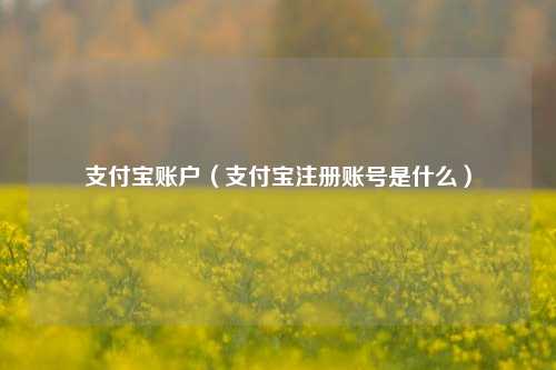 支付宝账户（支付宝注册账号是什么）