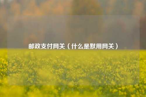 邮政支付网关（什么是默用网关）