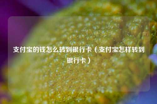 支付宝的钱怎么转到银行卡（支付宝怎样转到银行卡）