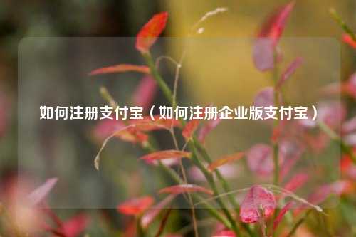 如何注册支付宝（如何注册企业版支付宝）