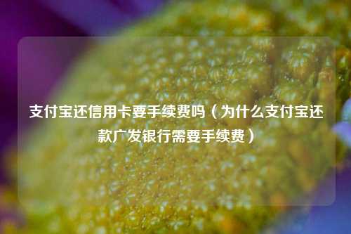 支付宝还信用卡要手续费吗（为什么支付宝还款广发银行需要手续费）