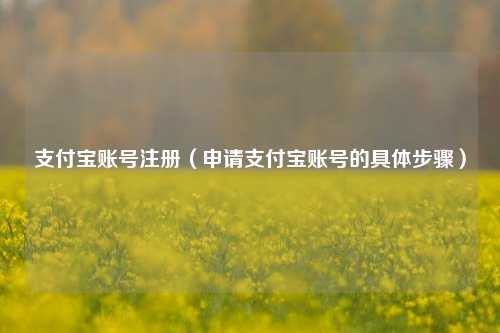 支付宝账号注册（申请支付宝账号的具体步骤）