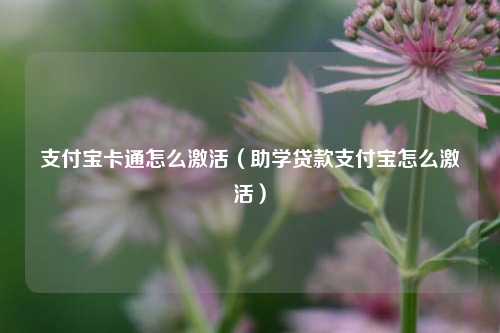 支付宝卡通怎么激活（助学贷款支付宝怎么激活）