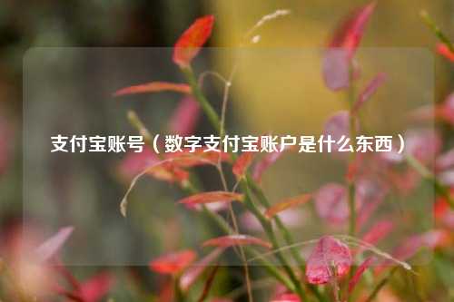 支付宝账号（数字支付宝账户是什么东西）