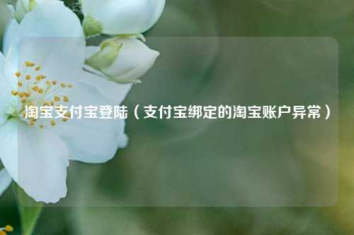 淘宝支付宝登陆（支付宝绑定的淘宝账户异常）