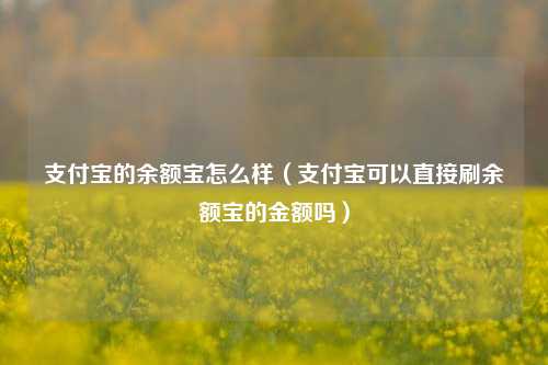 支付宝的余额宝怎么样（支付宝可以直接刷余额宝的金额吗）