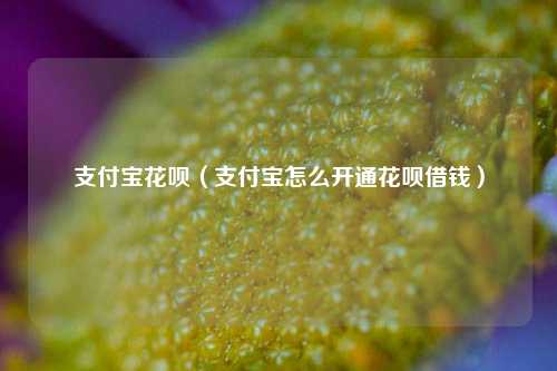 支付宝花呗（支付宝怎么开通花呗借钱）