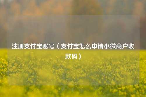 注册支付宝账号（支付宝怎么申请小微商户收款码）