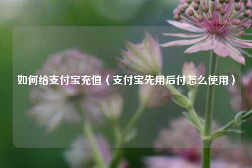 如何给支付宝充值（支付宝先用后付怎么使用）