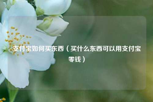 支付宝如何买东西（买什么东西可以用支付宝零钱）