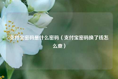 支付宝密码是什么密码（支付宝密码换了钱怎么查）