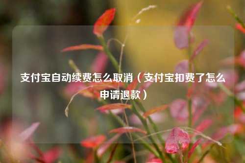 支付宝自动续费怎么取消（支付宝扣费了怎么申请退款）