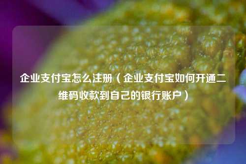 企业支付宝怎么注册（企业支付宝如何开通二维码收款到自己的银行账户）