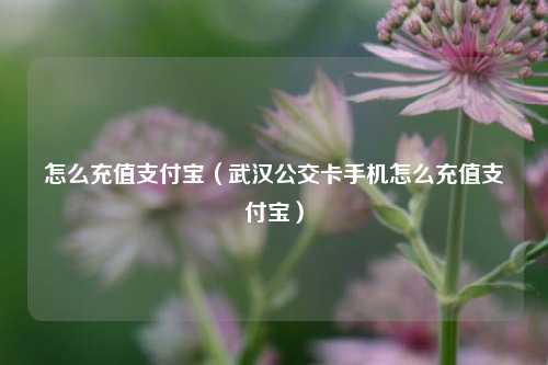 怎么充值支付宝（武汉公交卡手机怎么充值支付宝）