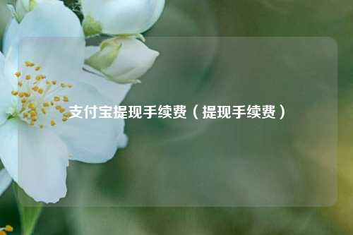 支付宝提现手续费（提现手续费）