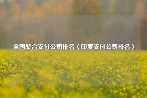 全国聚合支付公司排名（印度支付公司排名）