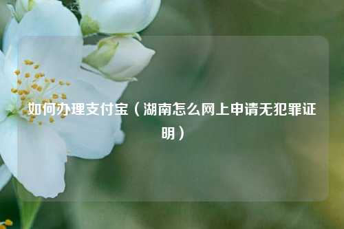 如何办理支付宝（湖南怎么网上申请无犯罪证明）