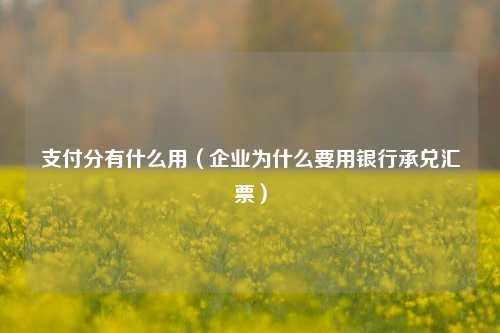 支付分有什么用（企业为什么要用银行承兑汇票）