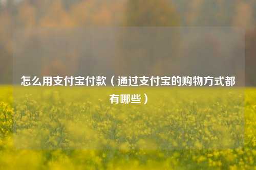 怎么用支付宝付款（通过支付宝的购物方式都有哪些）