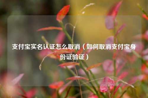 支付宝实名认证怎么取消（如何取消支付宝身份证验证）