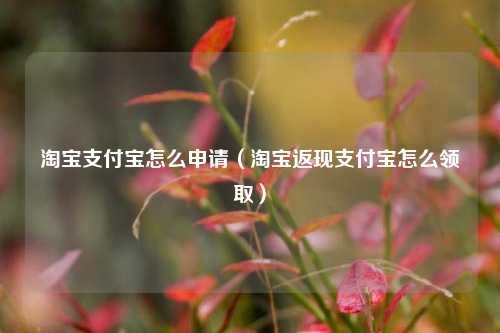 淘宝支付宝怎么申请（淘宝返现支付宝怎么领取）