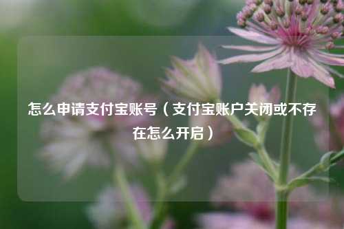 怎么申请支付宝账号（支付宝账户关闭或不存在怎么开启）