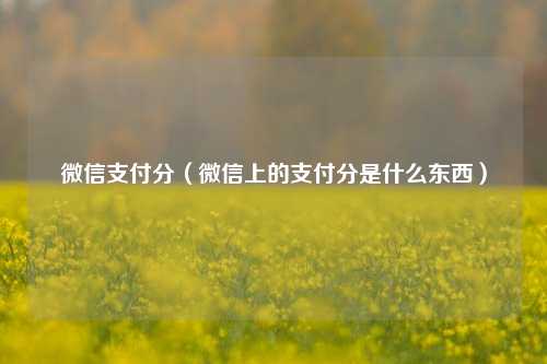 微信支付分（微信上的支付分是什么东西）