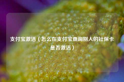 支付宝激活（怎么在支付宝查询别人的社保卡是否激活）