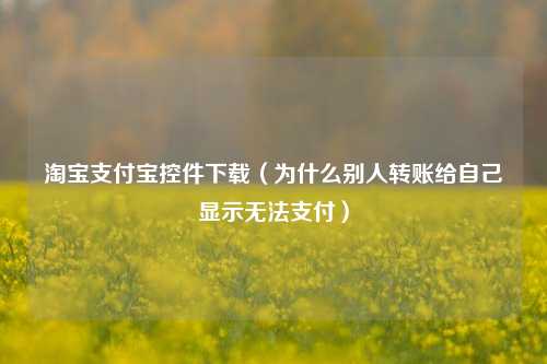 淘宝支付宝控件下载（为什么别人转账给自己显示无法支付）