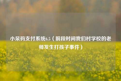 小呆码支付系统6.5（前段时间我们村学校的老师发生打孩子事件）