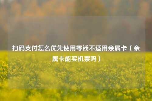 扫码支付怎么优先使用零钱不适用亲属卡（亲属卡能买机票吗）