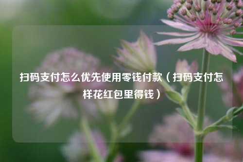 扫码支付怎么优先使用零钱付款（扫码支付怎样花红包里得钱）