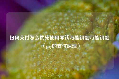 扫码支付怎么优先使用零钱万能钥匙万能钥匙（pay的支付原理）