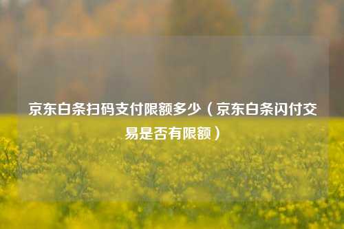 京东白条扫码支付限额多少（京东白条闪付交易是否有限额）