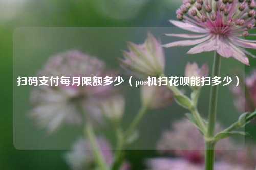 扫码支付每月限额多少（pos机扫花呗能扫多少）