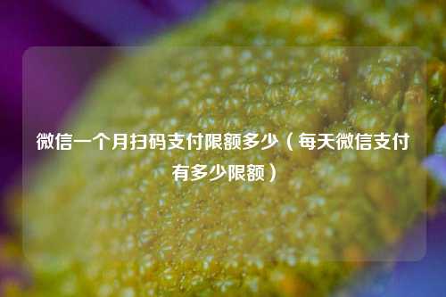 微信一个月扫码支付限额多少（每天微信支付有多少限额）