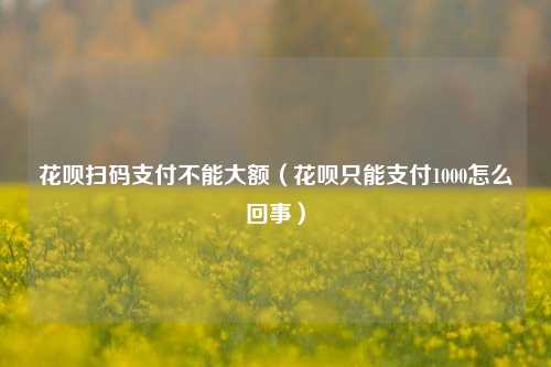 花呗扫码支付不能大额（花呗只能支付1000怎么回事）