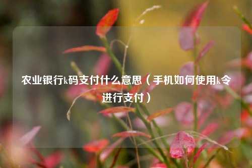 农业银行k码支付什么意思（手机如何使用k令进行支付）