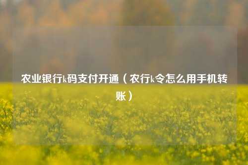 农业银行k码支付开通（农行k令怎么用手机转账）